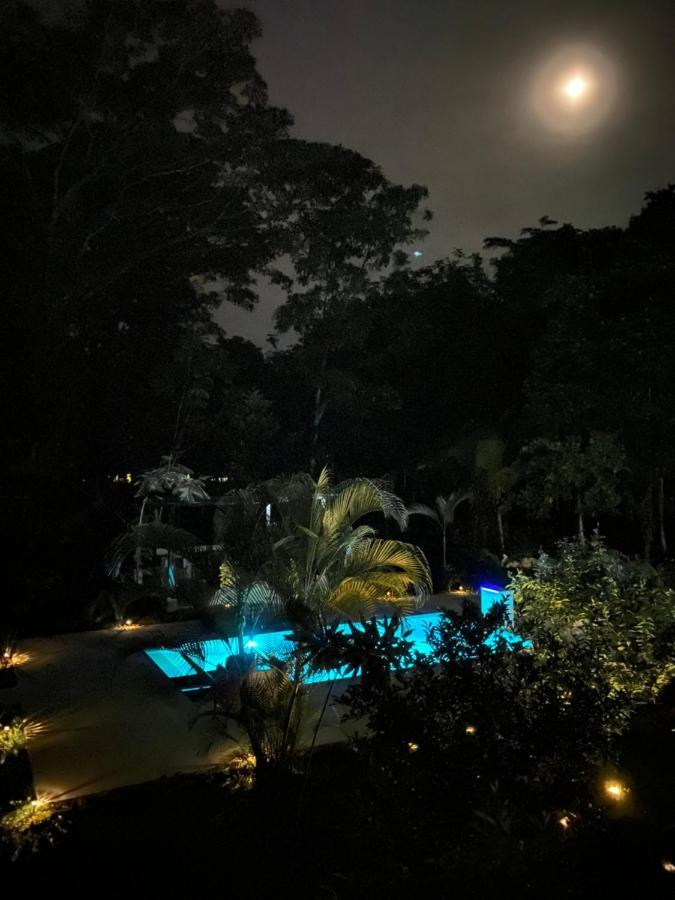 La Amapola Lodge, Bungalow En Peninsula De Osa. Barrigones Luaran gambar
